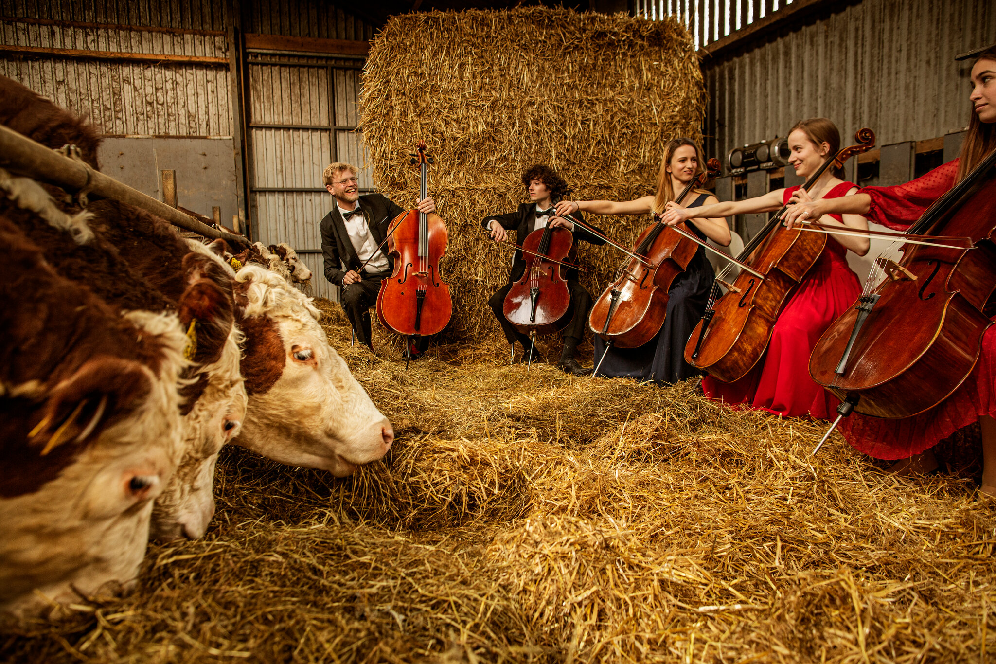 Scandinavian Cello School