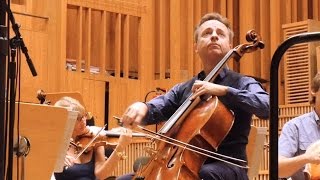 Dvořák: Silent Woods